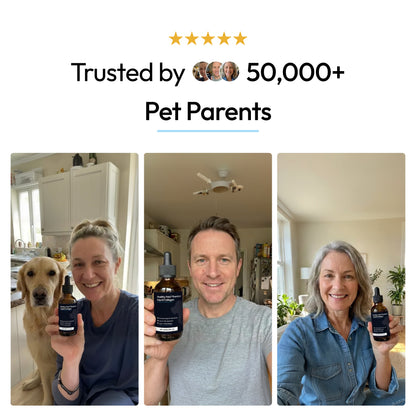 Vittapet Labs 90-Day Dual Collagen Rebuild Protocol