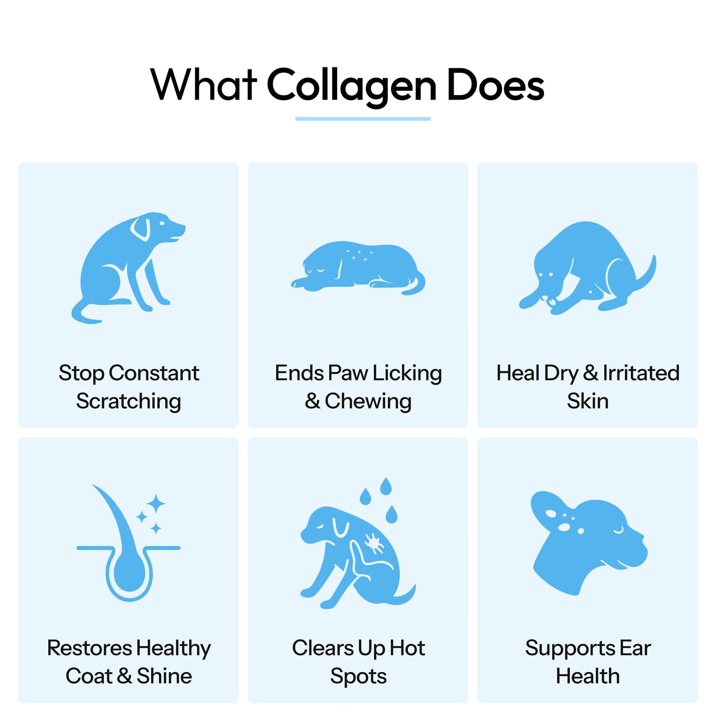Vittapet Labs 90-Day Dual Collagen Rebuild Protocol