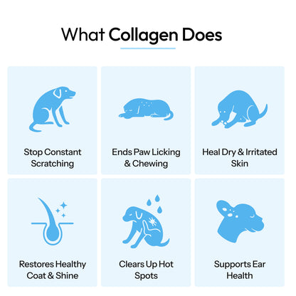 Vittapet Labs 90-Day Dual Collagen Rebuild Protocol