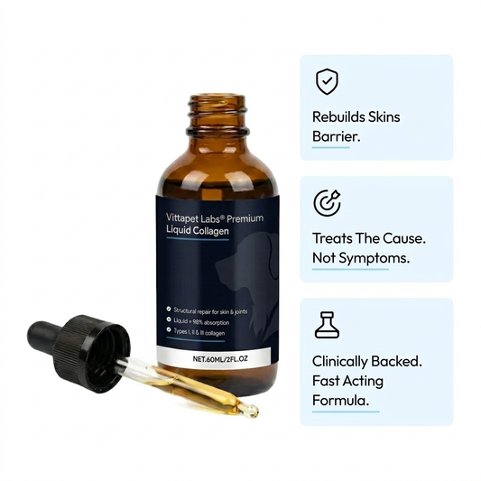 Vittapet Labs 90-Day Dual Collagen Rebuild Protocol