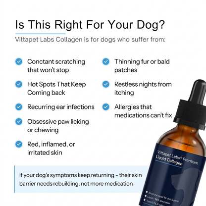 Vittapet Labs 90-Day Dual Collagen Rebuild Protocol