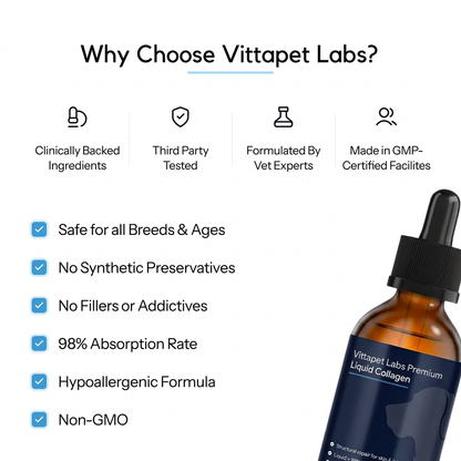 Vittapet Labs 90-Day Dual Collagen Rebuild Protocol