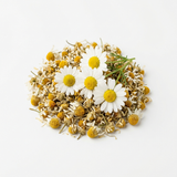 Organic Chamomile