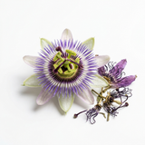 Organic Passionflower